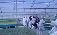 cost-action-grubu-fide-ziyaret