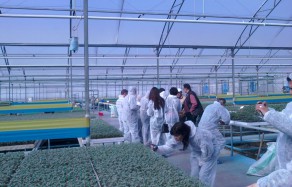 cost-action-grubu-fide-ziyaret