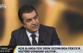 bereket tv canlı yayın