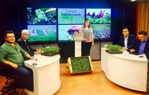 vtv-program