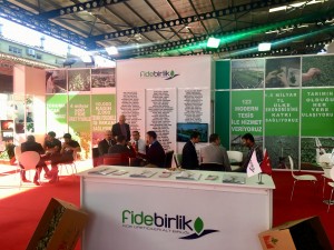 domatexpo stand genel