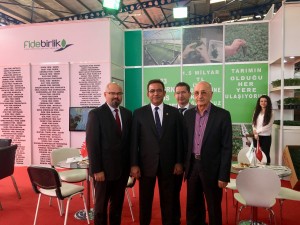 domatexpo çetin osman budak
