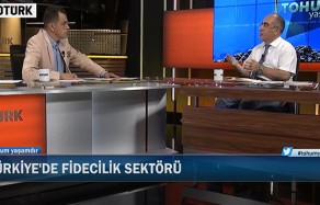 fidecilik sektörü canlı yayın