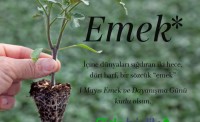 1 mayıs