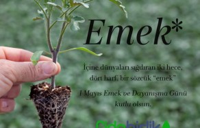 1 mayıs