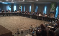 aşılı fide top. (6)