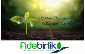 Kurban Bayramı Kutlama