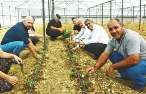 Prima Ecoboost Projesi Aksu Fide Dikimi (4)